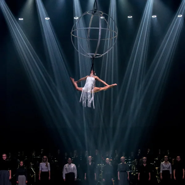 Zdjęcie podniebnej choreografii z widowiska: 75